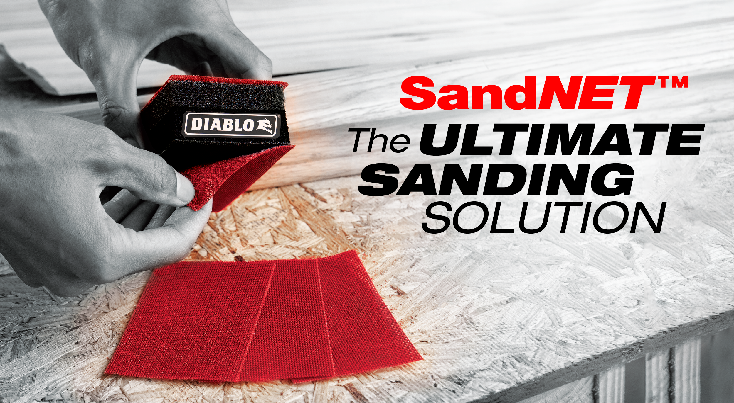 SandNET_Email_EU_Header-01 SandNET_Email_EU_Header-01